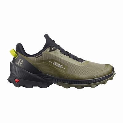 Salomon CROSS OVER GORE-TEX - Miesten Vaelluskengät - Syvä Vihreä/Mustat